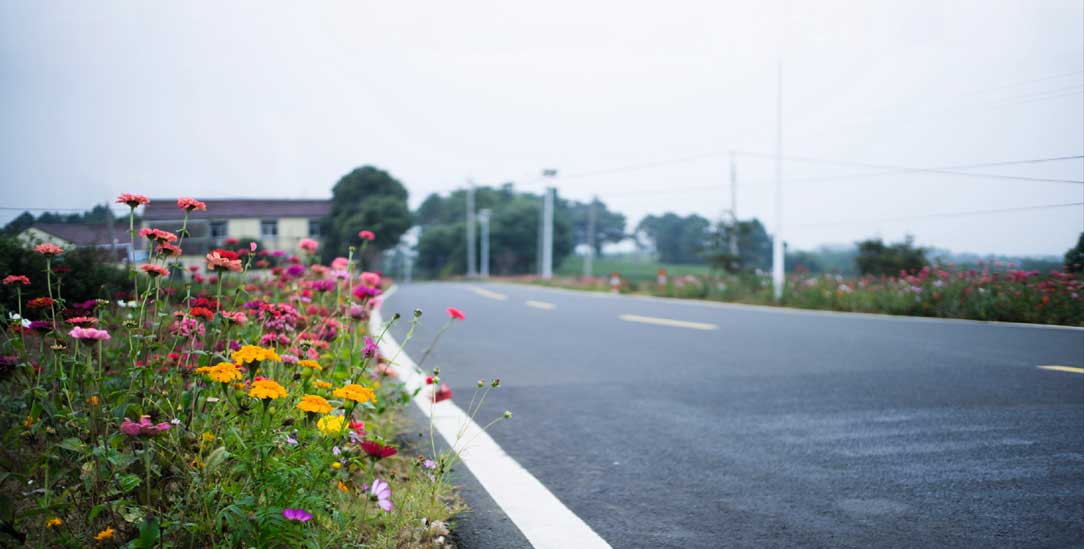 Erfreut das Auge und die Bienen: Blühstreifen am Straßenrand (Foto: istockphoto/yipengge)