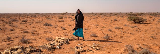 Somalia: Bürgerkrieg und Dürre machen Getreideanbau und Viehzucht unmöglich (Foto: pa/Anna Mayumi Kerber)