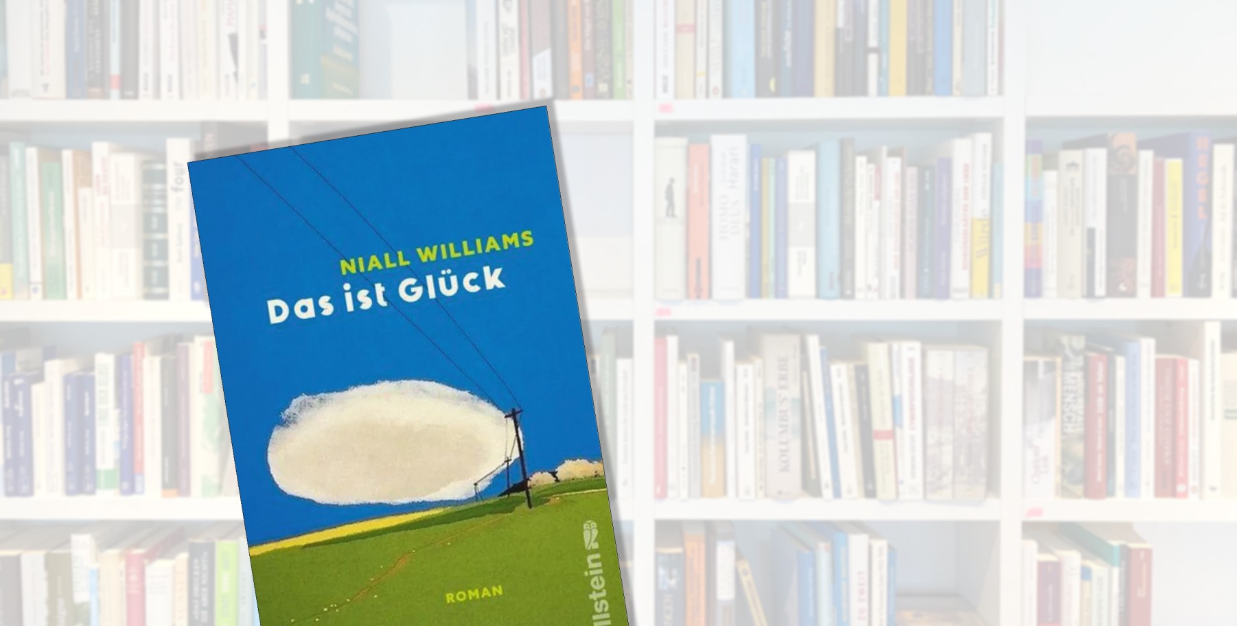 Der Roman »Das ist Glück« von Niall WIllimas führt tief in die irisch-katholische Gesellschaft der 1950er-Jahre und die Mentalität ihrer ländlichen Bewohner ein.
