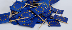 Viele Menschen fordern, die EU solle sich nur um die großen, wirklich wichtigen Themen kümmern. Doch das Große hängt mit dem Kleinen zusammen, erklärt Daniel Göler, Professor für Europäische Politik in Passau, am Beispiel Klimaschutz (Foto: pa/zb/Sascha Steinach).