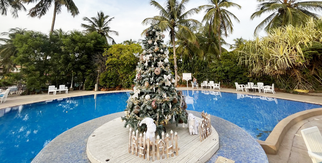 Es kann nur einen geben: Auch unter Palmen ist der Weihnachtsbaum ein Tannenbaum (Foto: Zimmermann)