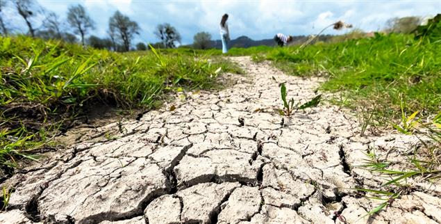Dürre in Deutschland: Die Klimakrise schreitet voran, politisch passiert wenig. (Foto: IMAGO/Nikito)