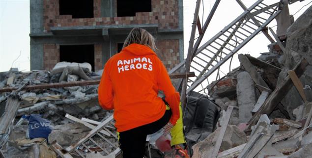 (Foto: Animal Heroes)