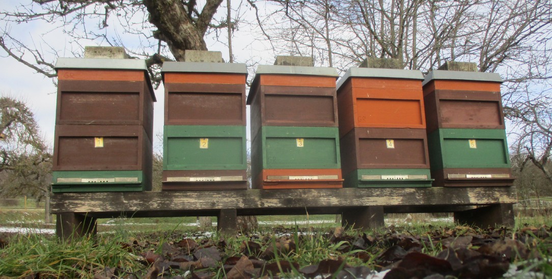 (Foto: Griesbacher)