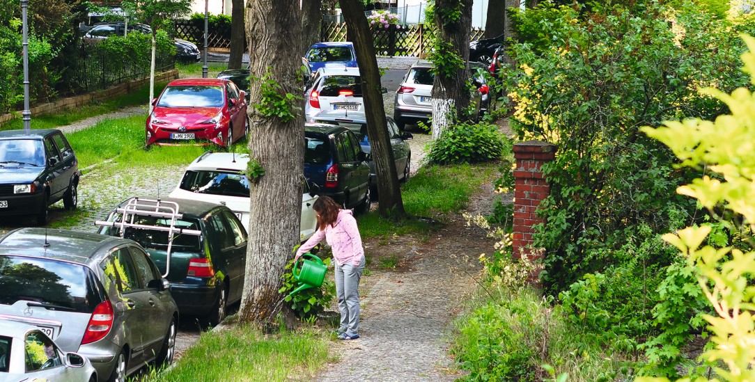 Damit es grün bleibt: Eine Anwohnerin gießt einen Straßenbaum in Berlin. (Foto: PA / Wolfram Steinberg)