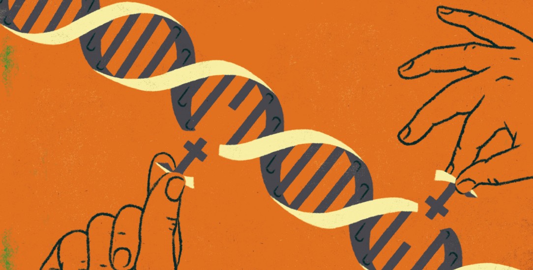 (Illustration: Jens Bonnke)