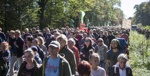 Tausende kamen am vergangenen Wochenende zum jüngsten Waldspaziergang. Der Protest gegen die geplante Rodung des Hambacher Waldes wird immer größer (Foto: pa/Zumapress/ Jannis Grosse)