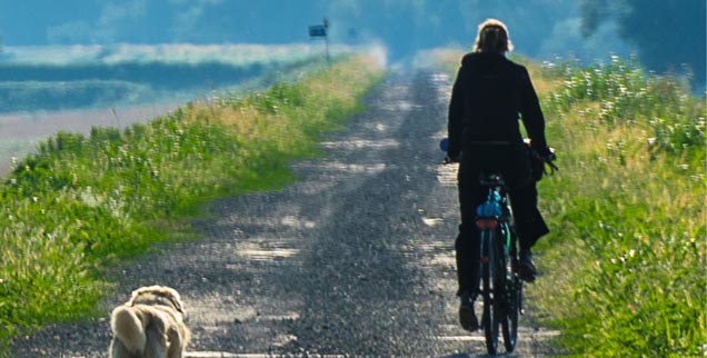 Viel erlebt, sich selbst verändert: Unsere Radler fahren mit Hundebegleitung auf einem Schotterweg durch kroatisches Sumpfgebiet (Foto: Borgans)