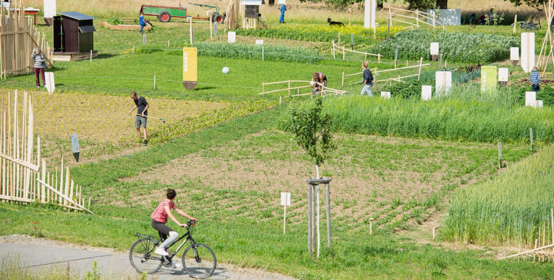  Dreimal mehr Soja als Gemüse: Der Weltacker in Überlingen am Bodensee zeigt, was auf der Welt angebaut wird(Foto: Weltacker/Isabel Bernadette Meyer)