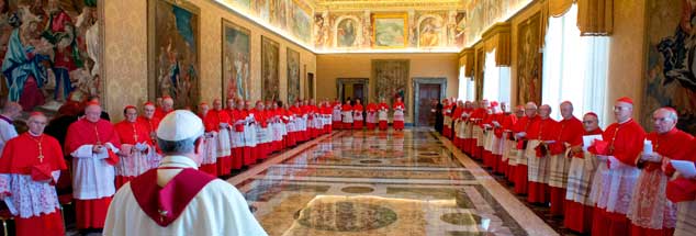Ein Papst (vorn) hat im Kardinalskollegium (hinten) nicht nur Freunde: Und Franziskus - hier zu sehen bei einer Versammlung im Vatikan - schon gar nicht. (Foto: pa/AP Photo/L'Osservatore Romano)

