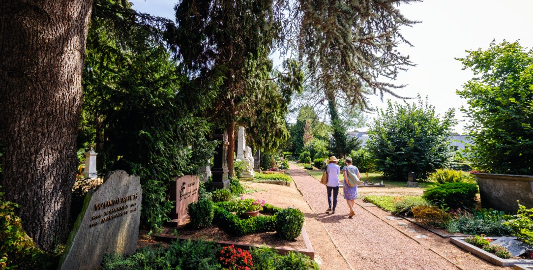 Der Friedhof an der Kölnstraße mitten in Düren ist nicht nur ein Ort für die Toten, sondern auch für die Lebenden – nicht zuletzt für viele Pflanzen und Tiere. (Foto: Poorten)