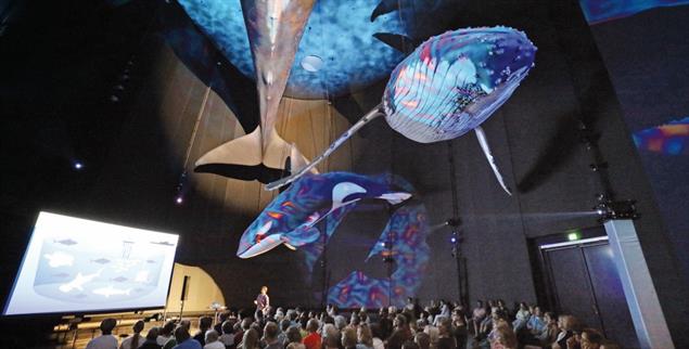 Unter Walen: Die Eröffnungsveranstaltung der Jugendklimakonferenzfand im Saal der Ozeanriesen im Ozeaneum statt (Foto: Christoph Rödel)