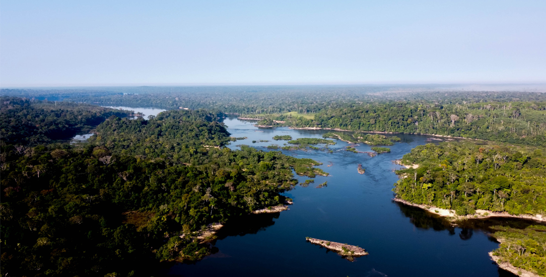 Atemberaubend und bedroht: Amazonasgebiet bei Apuí in Brasilien. (Foto: istock by Getty / Rafael Nilton Pelizzeri)