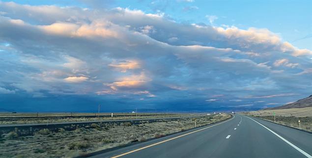 (Foto: Arndt Peltner)