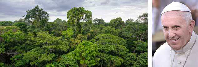 Amazonas-Regenwald von oben, geliebt von Papst Franziskus (rechts): Am 18. Juni 2015 stellte er seine Umwelt-Enzyklika vor. Er provozierte damit starke Emotionen. Positive wie negative. (Fotos: pa/Spaziani; istockphoto/salparadis)