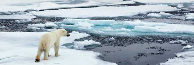 Die Eisschmelze wird weitergehen: Die Regierungschefs der EU-Staaten können sich bei ihrem Gipfel nicht auf CO2-Grenzwerte einigen, die den Klimawandel bremsen würden (Foto: thinkstock/gettyimages/pum_eva)