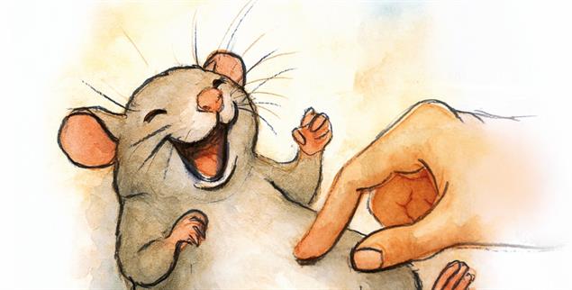 (Illustration: Schneider)