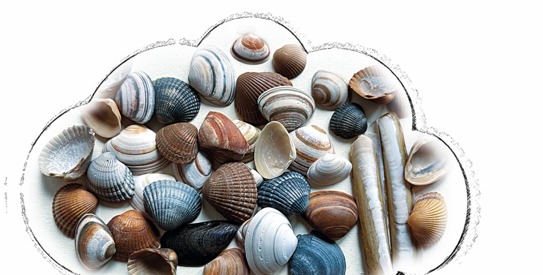 (Illustration: Schneider; Foto: Schneider)