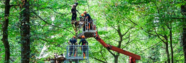 Konfrontation im Hambacher Wald: Ein Polizist holt einen Umweltaktivisten von einer Plattform auf einem Baum. RWE hat mithilfe eines großen Polizeiaufgebots in der vergangenen Woche Barrikaden im Wald weggeräumt und dabei auch bereits einen Baum gefällt (Foto: pa/Bauch)