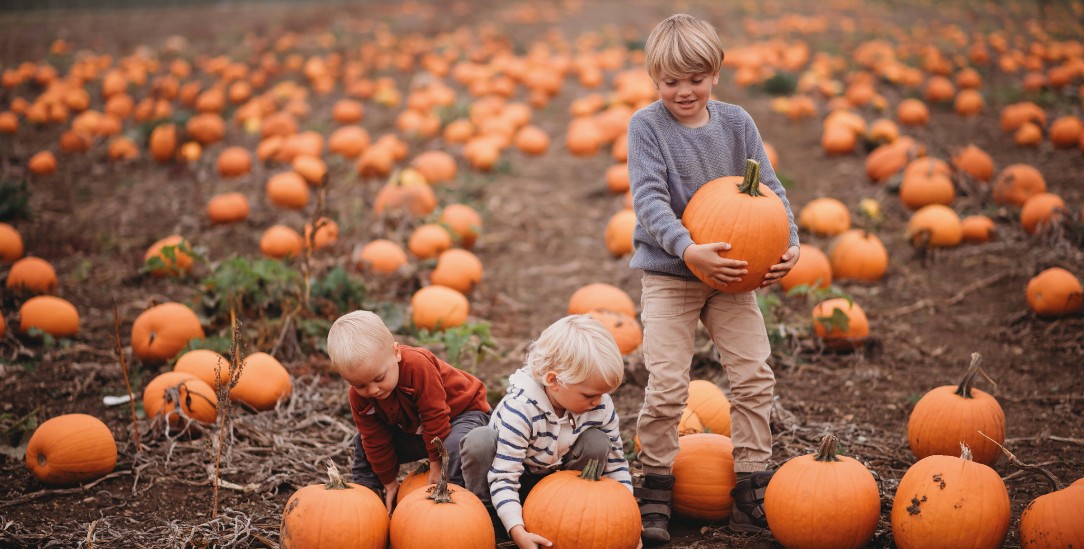(Foto: Tammy Nicole/Cavan Images/laif)