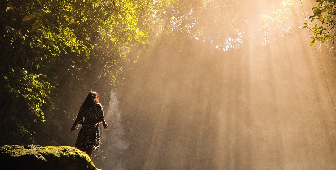 (Foto: freepik/michaelabrahamk) (Foto: freepik/michaelabrahamk)