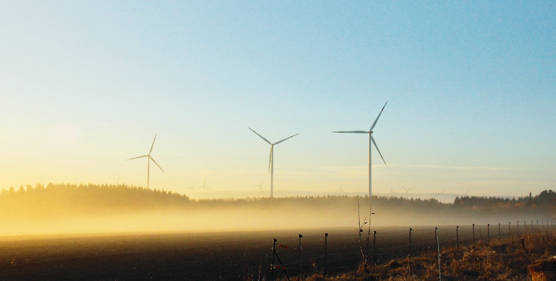 Windräder im Rhein-Hunsrück-Kreis leisten ein Beitrag zur Energiewende, sind aber bei den Anwohnern umstritten. (Foto: Lutze)