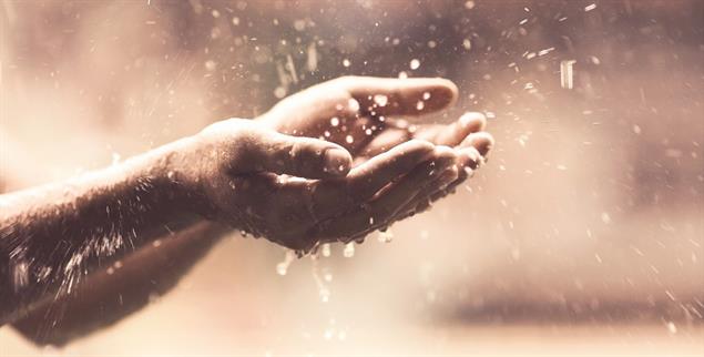 (Foto: Shutterstock/Xeniia X)