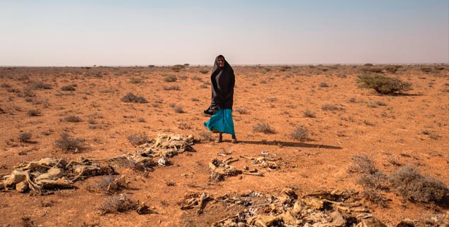 Somalia: Bürgerkrieg und Dürre machen Getreideanbau und Viehzucht unmöglich (Foto: pa/Anna Mayumi Kerber)