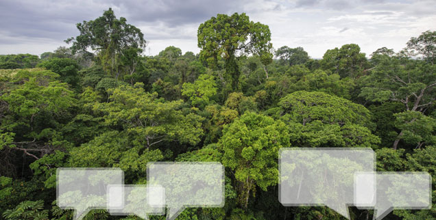 Amazonas-Regenwald von oben: Am 18. Juni 2015 stellte Papst Franziskus seine Umwelt-Enzyklika vor. Er provozierte damit starke Emotionen. Positive wie negative. (Foto: istockphoto/salparadis)