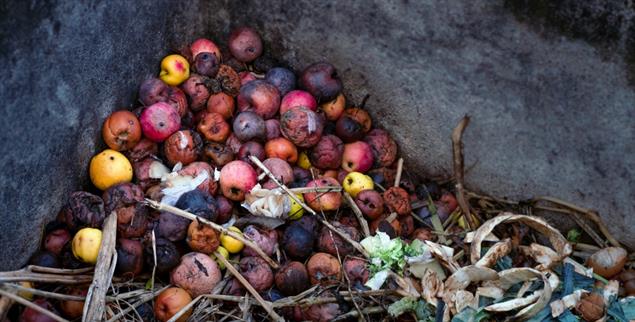 Schuld verschwindet nicht auf magische Weise: Sie muss entgiftet und kompostiert werden.(Foto: Getty Images/iStockphoto/Saskia Acht)
