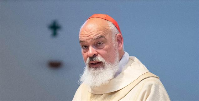 Kardinal Dominique Mathieu (Foto: pa/ipa-agency)