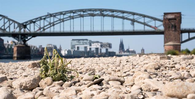 Die Zeichen der Zeit: Extreme Dürre-Perioden, wie hier am Rhein bei Köln, wechseln sich mit Überschwemmungen ab (Foto: iStock by Getty / AL-Travelpicture)