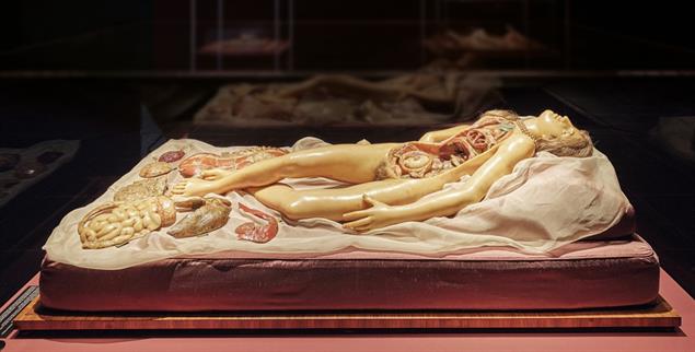 Die »Venerina« (»kleine Venus«) von Clemente Michelangelo Susini (Foto: Norbert Miguletz / © Frankfurter Kunstverein)