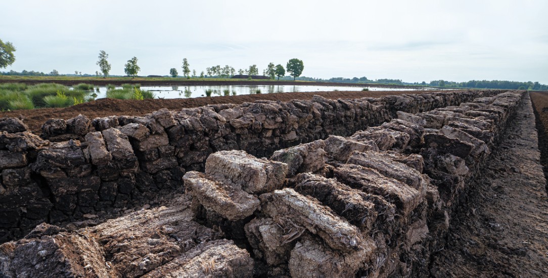 Billiger Rohstoff: Trocknende Torfsoden im Campenmoor bei Osnabrück (Foto: pa/Countrypixel)