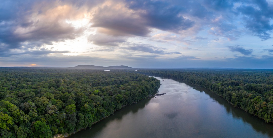 Einzigartig: Große Teile Guyanas sind mit teils unberührtem Regenwald bedeckt. Doch der Klimawandel verändert das Ökosystem schon heute. (Foto: urgewald/Tom Vierus)