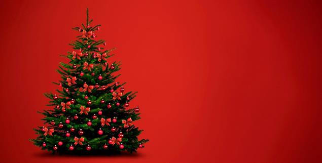 An Weihnachten gibt es Geschenke: In Menden steht ein Wunschbaum für Seniorinnen und Senioren. Deren Wünsche sind oft bescheiden. (Foto: stock.adobe/by-studio/busse yankushev)