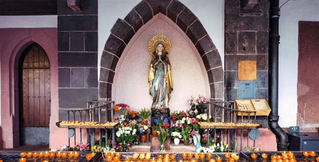 (Foto: pa/imageBROKER)