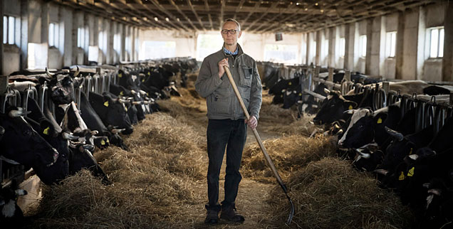 Biolandwirt Heiner Lütke Schwienhorst in seinem Kuhstall: Der Hitzesommer 2018 brachte seinem Betrieb große Ernteverluste, für seine Tiere musste er Futter dazukaufen (Foto: Gordon Welters/Greenpeace)