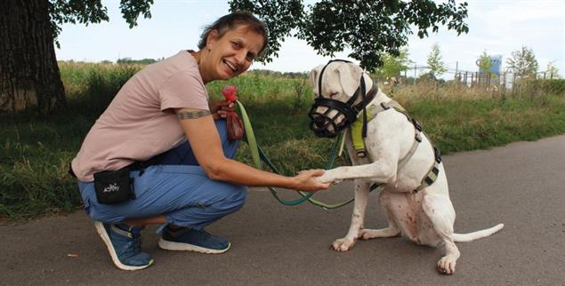 Vertrauen gewinnen: Heike Reiser mit Hündin Akira (Foto: Julia Lauer)