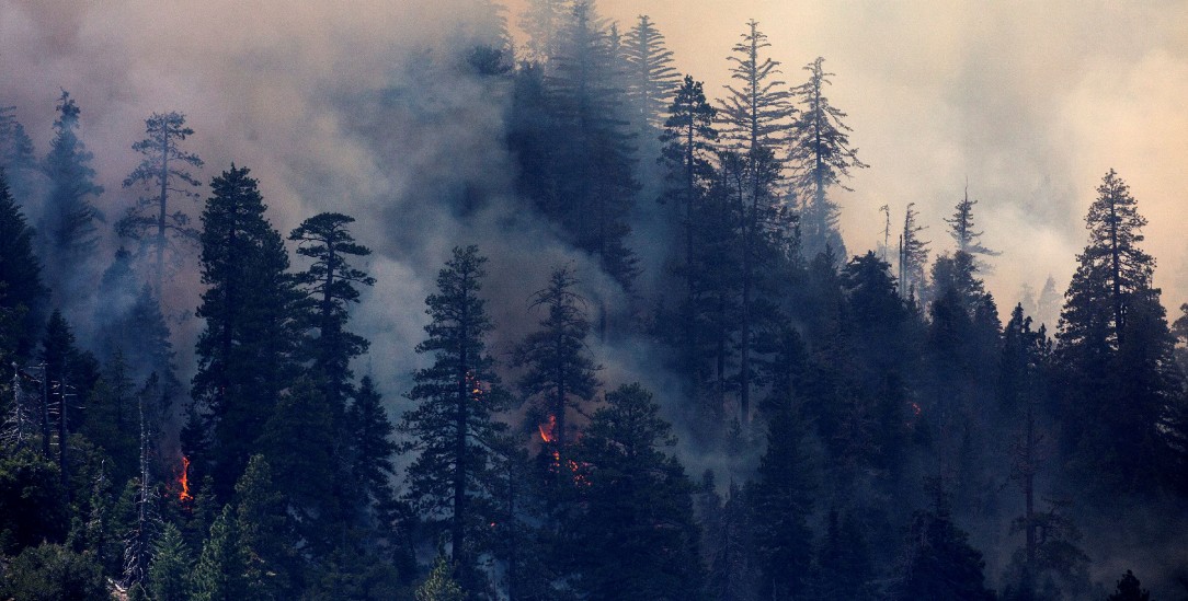 Wälder in Kalifornien brennen: Doch Präsident Donald Trump leugnet, dass es einen Zusammenhang mit dem Klimawandel.geben könntee (Foto: Reuters/Ringo Chiu)