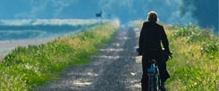 Viel erlebt, sich selbst verändert: Unsere Radler fahren auf einem Schotterweg durch kroatisches Sumpfgebiet (Foto: Borgans)