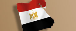 Ägypten steht am Scheideweg: Wird die Revolution zum Erfolg führen?