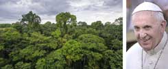 Amazonas-Regenwald von oben, geliebt von Papst Franziskus (rechts): Am 18. Juni 2015 stellte der Mann aus Lateinamerika, der jetzt im Vatikan wohnt und regiert, seine Umwelt-Enzyklika vor. Es ist die erste Enzyklika in der Geschichte der katholischen Kirche, die sich radikal der ökologischen Frage annimmt. (Fotos: pa/Spaziani; istockphoto/salparadis)