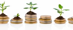 (Foto: © MARCELO - Fotolia.com)