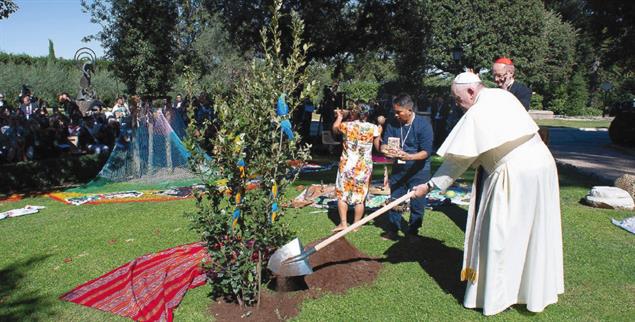 Neues Naturverhältnis: Papst Franziskus pflanzt mit Indigenen einen Baum bei der Synode 2019. (Foto: Abaca Press/Alamy Stock Photo)