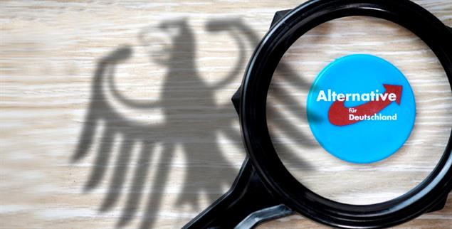 AfD bald unter verschärfter Beobachtung? (Foto: PA/blickwinkel/McPHOTO/C. Ohde)