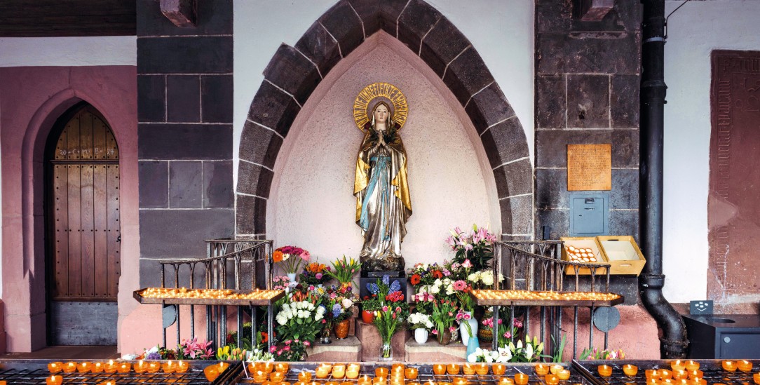 (Foto: pa/imageBROKER)