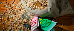 Die Preise für Nahrungsmittel werden weiter steigen, Spekulanten hoffen auf wachsende Gewinne  (Foto: © Gina Sanders - Fotolia.com) (Foto: © Gina Sanders - Fotolia.com)