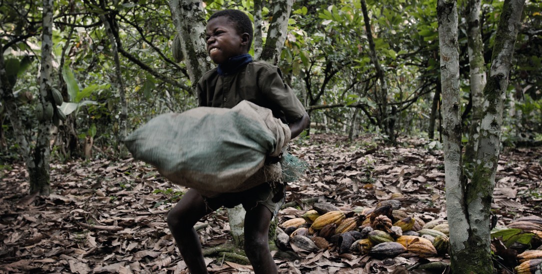 Ausbeutung im Jahr 2020: Noch immer schuften Afrikaner für europäische Interessen, wie dieser Junge auf einer Kakaoplantage von Côte d’Ivoire.(Foto: Laif/Rosenthal)